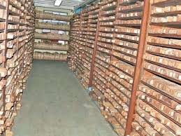 Nadi Astrology for Foreign Clients